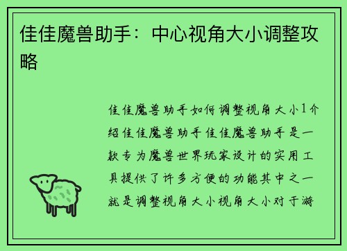 佳佳魔兽助手：中心视角大小调整攻略